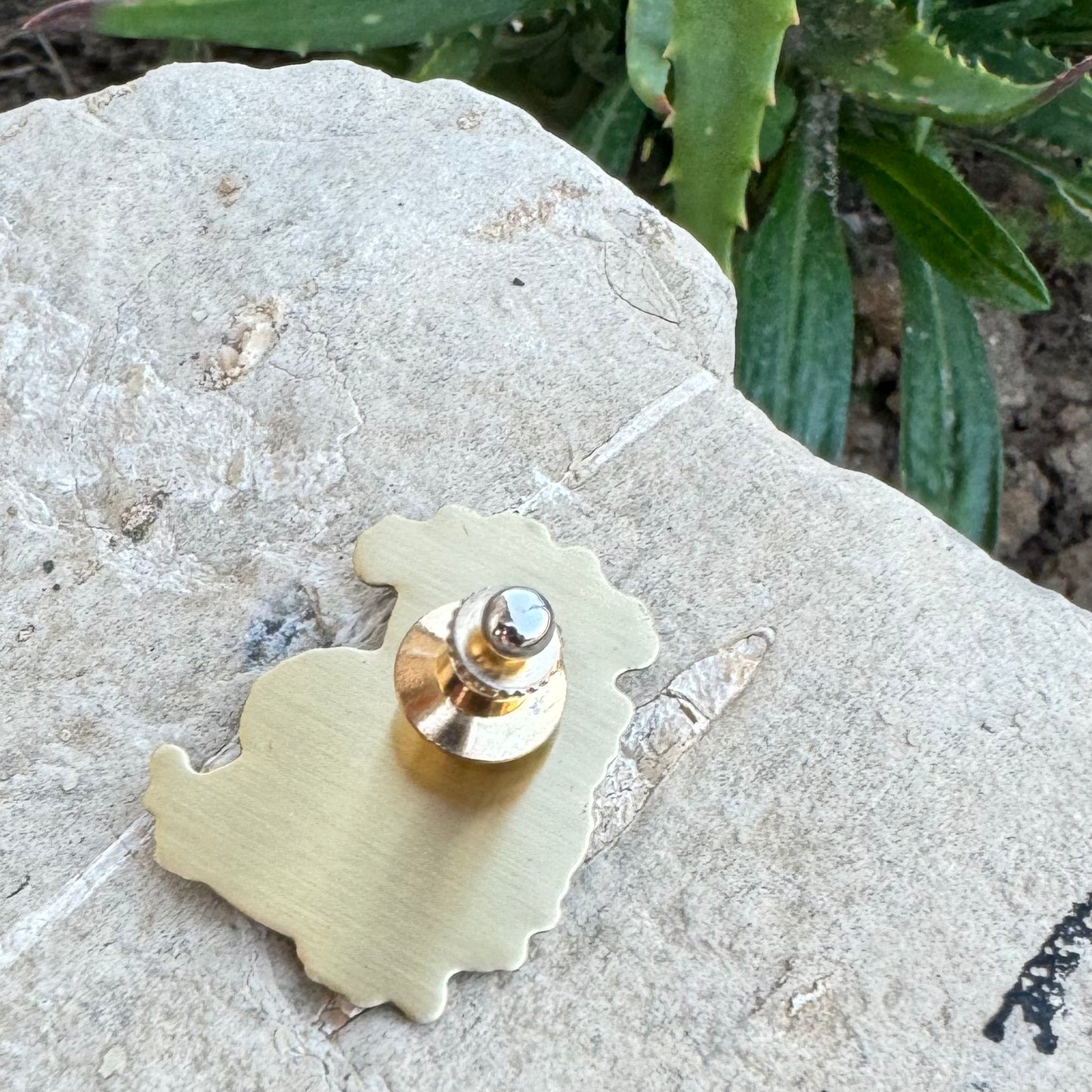 TSC Lapel Pin | Donation